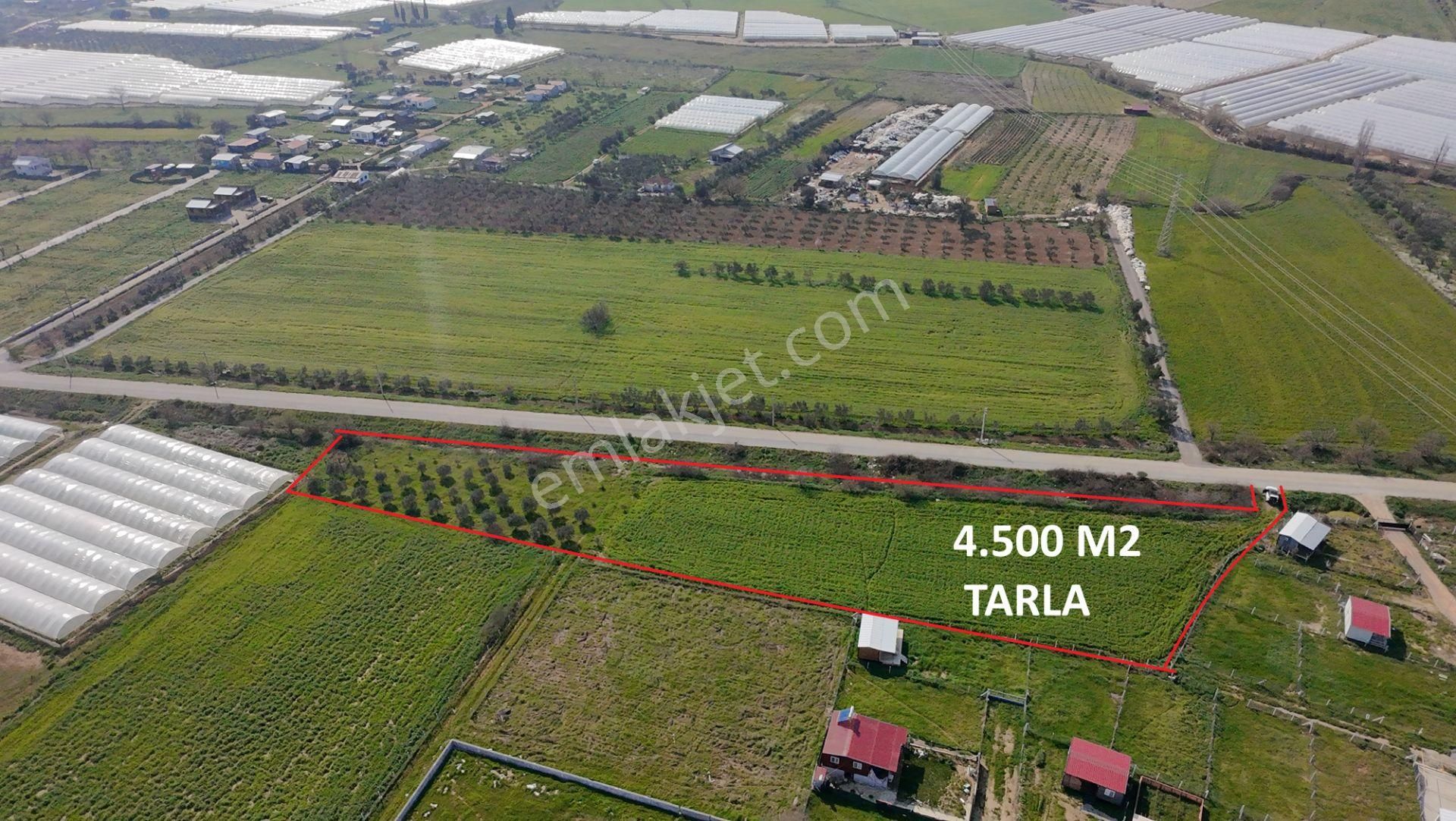 Menderes Değirmenderede Anayola 170 M Cepheli 4.500 M² Tek Tapu - Görsel 2