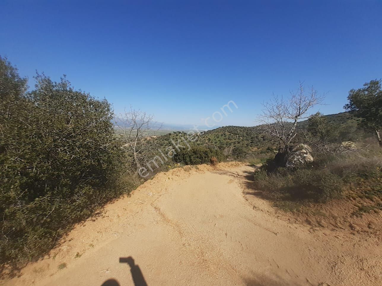 Otoban Manzaralı 437m² Müstakil Tapulu Fırsat Arazi Sizlerle... - Görsel 2