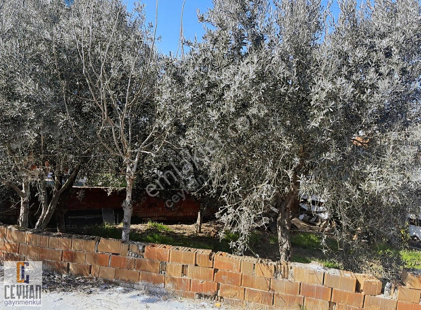 Ring Yolu Mevkine Yakın, 363 M², %40 Konut İmarlı Arsa! - Görsel 17