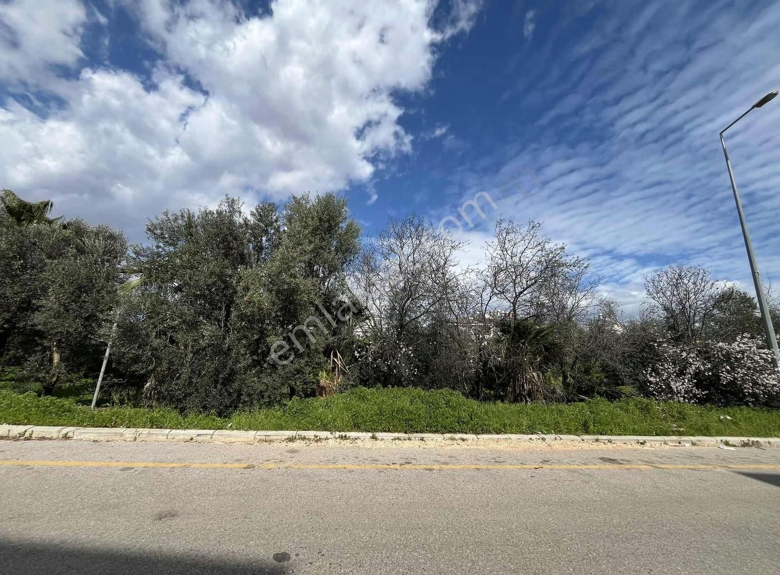 Mehmet Akif Cad. Satılık 3+1 Daire - Görsel 2