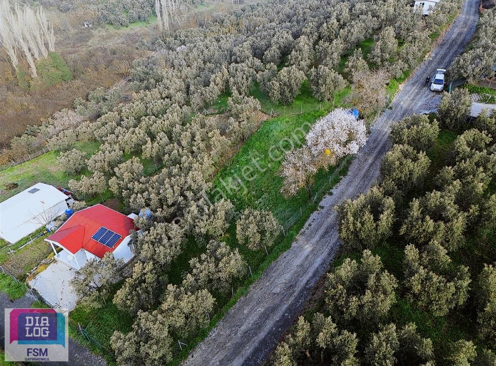 Mudanya Dereköy'de Satılık 640 M2 Zeytinlik - Görsel 3