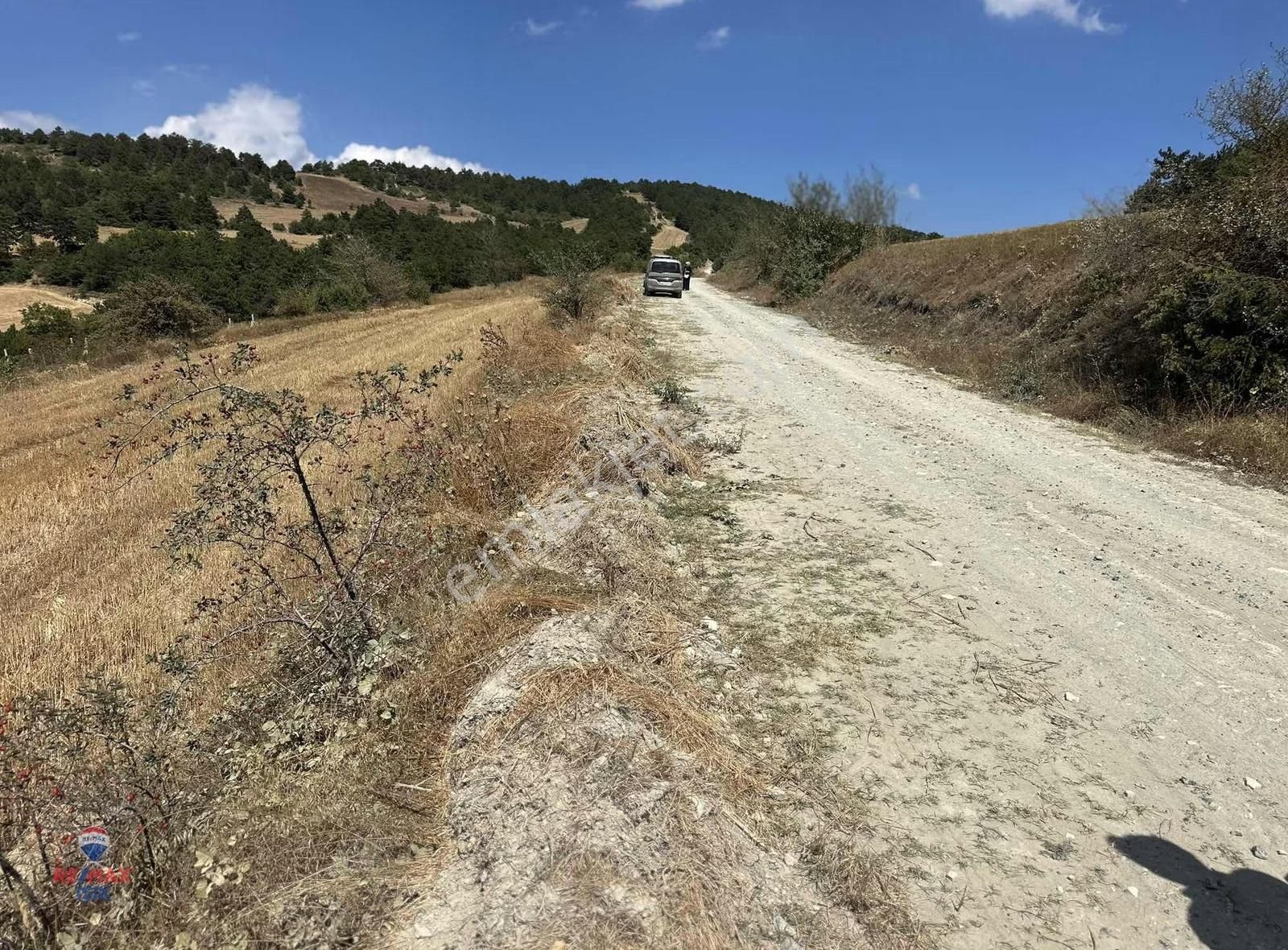 Sakarya Geyvede Halidiye 1460 M2 Yola 70 Cepheli Arazi