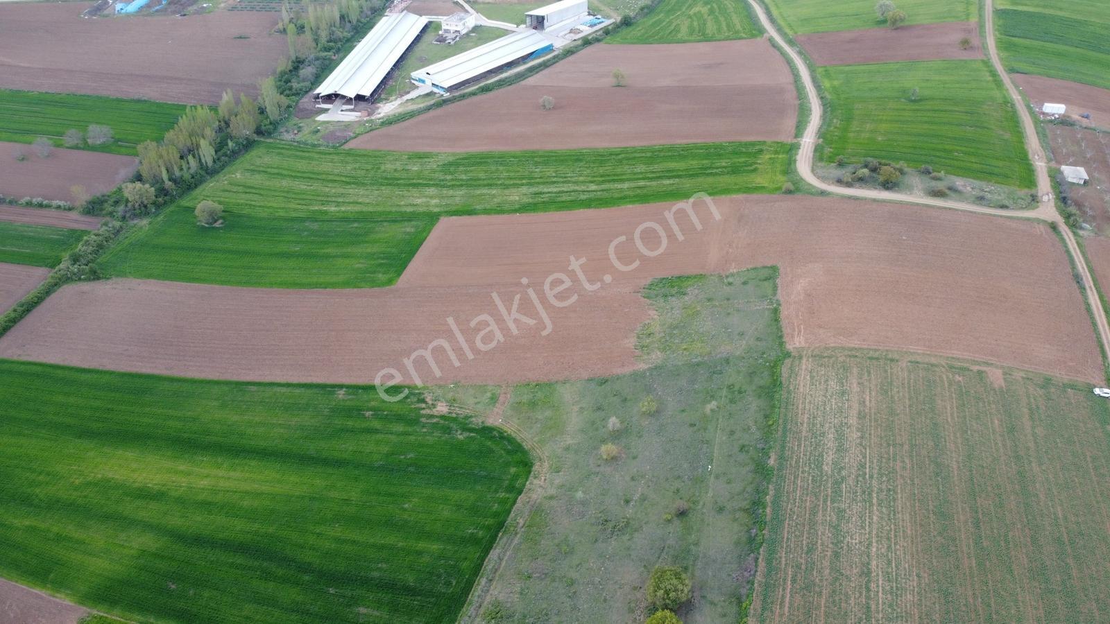 Karataş'tan 15.300 M2 Yolu Mevcut Merkeze Yakın Yatırımlık Kupon - Görsel 32