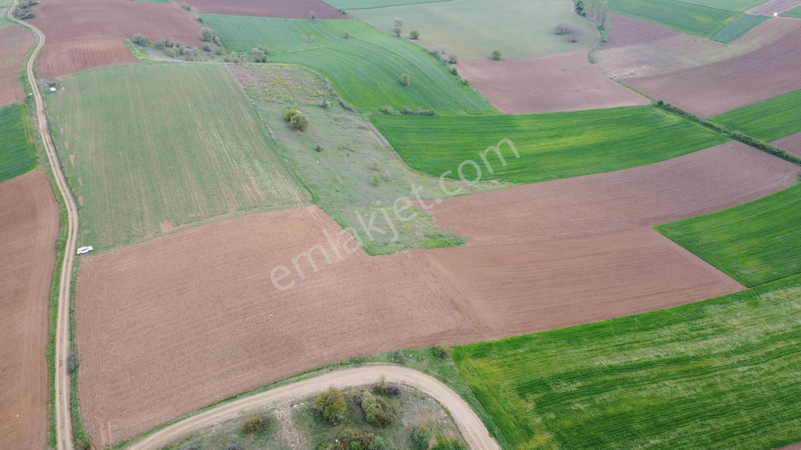 Karataş'tan 15.300 M2 Yolu Mevcut Merkeze Yakın Yatırımlık Kupon - Görsel 15