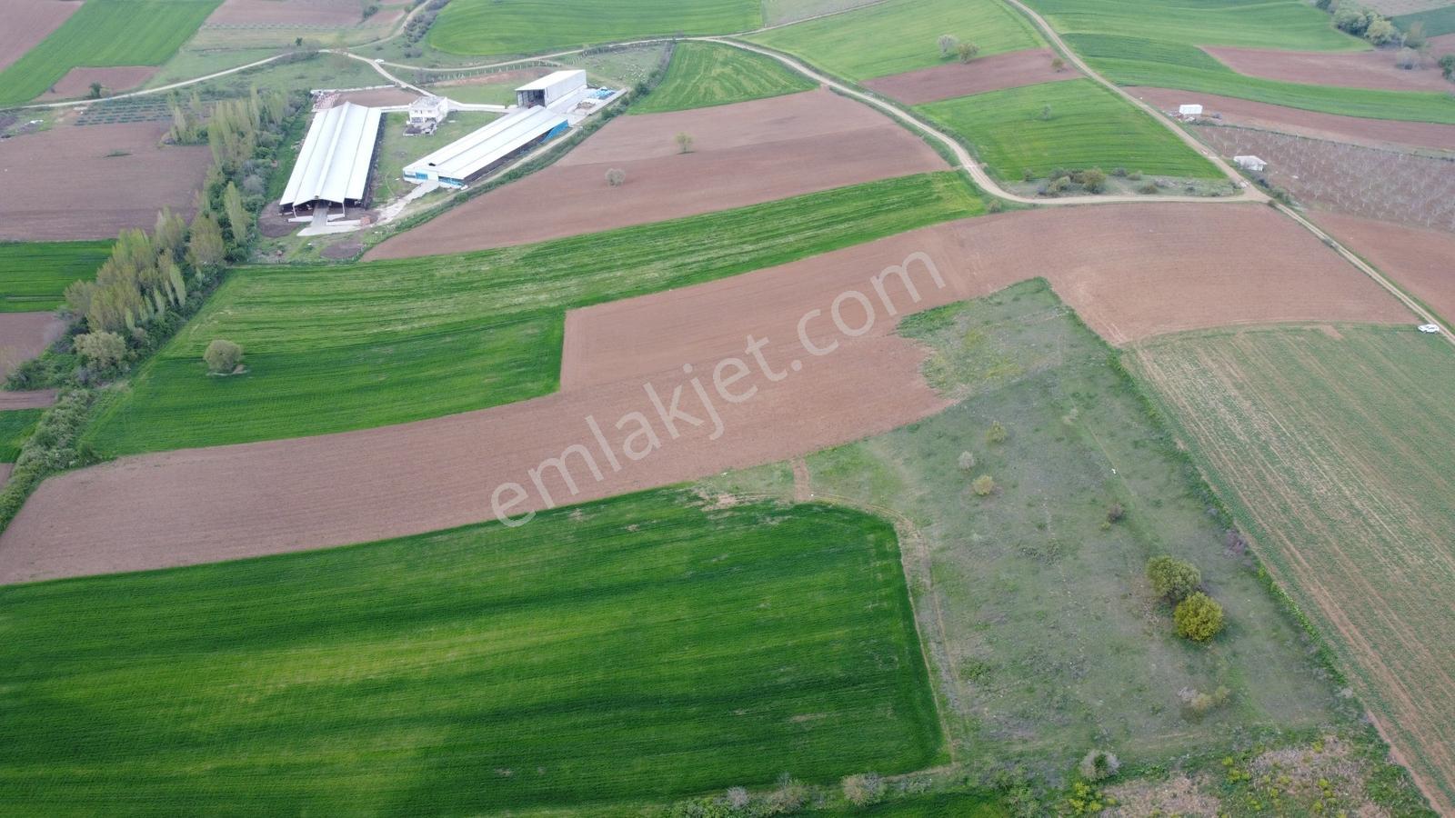 Karataş'tan 15.300 M2 Yolu Mevcut Merkeze Yakın Yatırımlık Kupon - Görsel 31