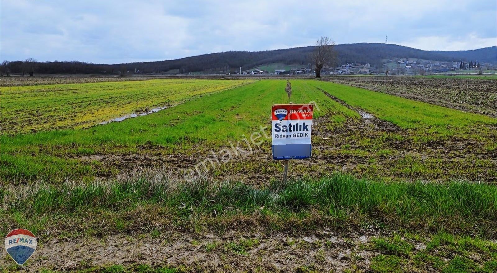 Remax Rıdvan Gedikten Söğütlü Kurudilde Satılık 2.180 M2 Tarla - Görsel 2