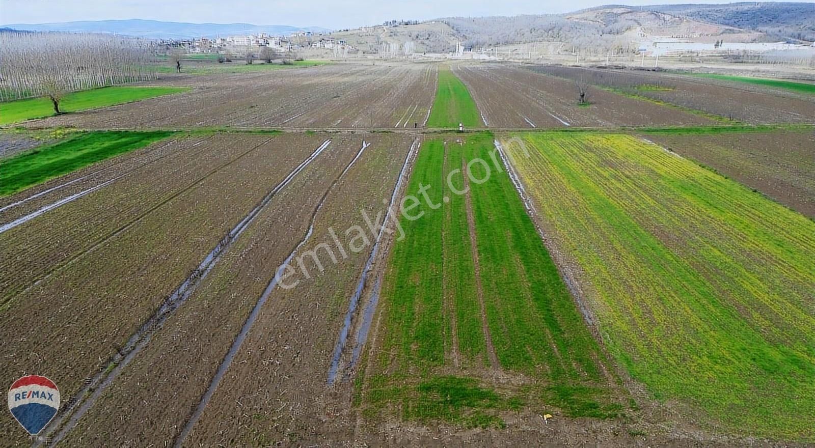 Remax Rıdvan Gedikten Söğütlü Kurudilde Satılık 2.180 M2 Tarla - Görsel 4