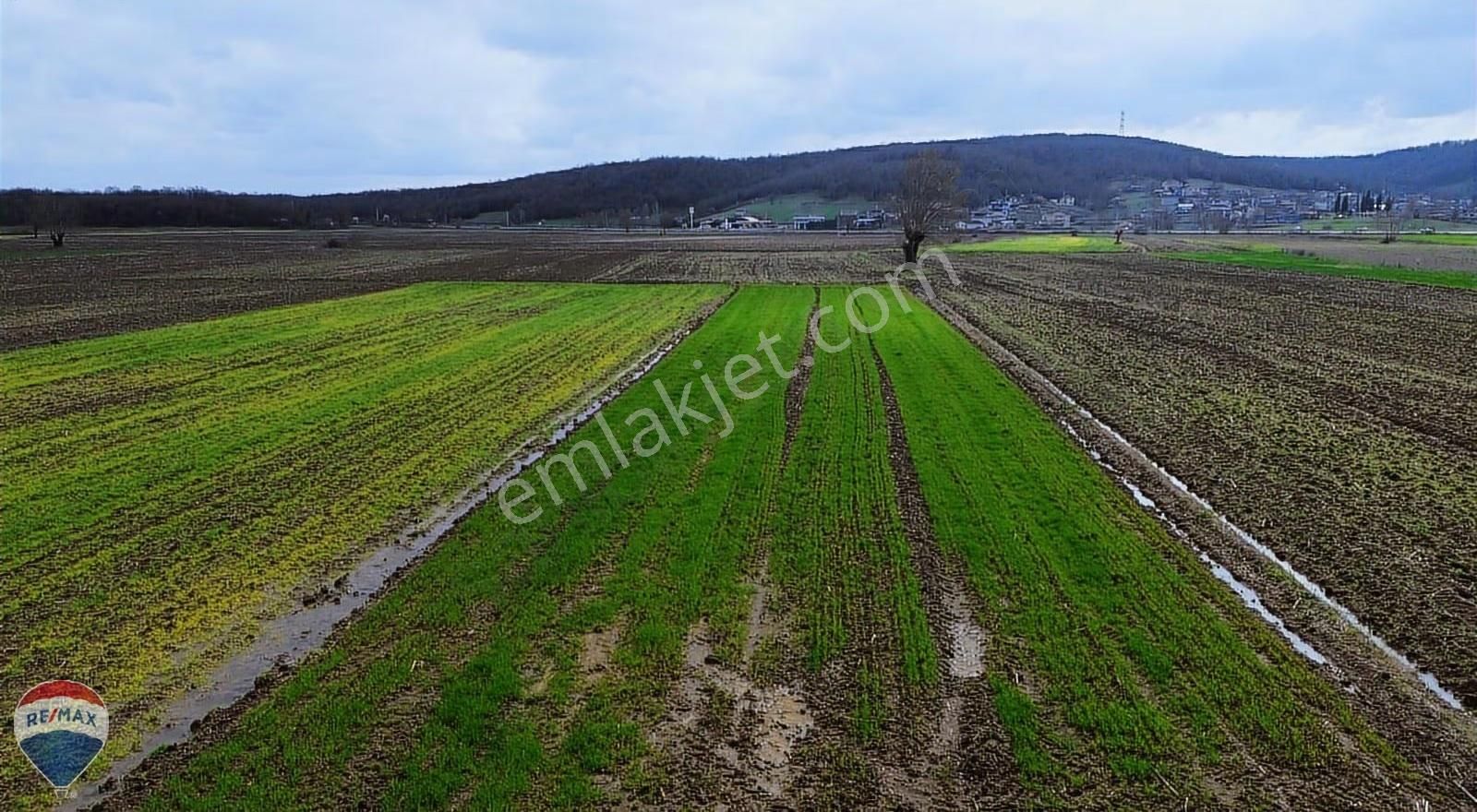 Remax Rıdvan Gedikten Söğütlü Kurudilde Satılık 2.180 M2 Tarla - Görsel 31