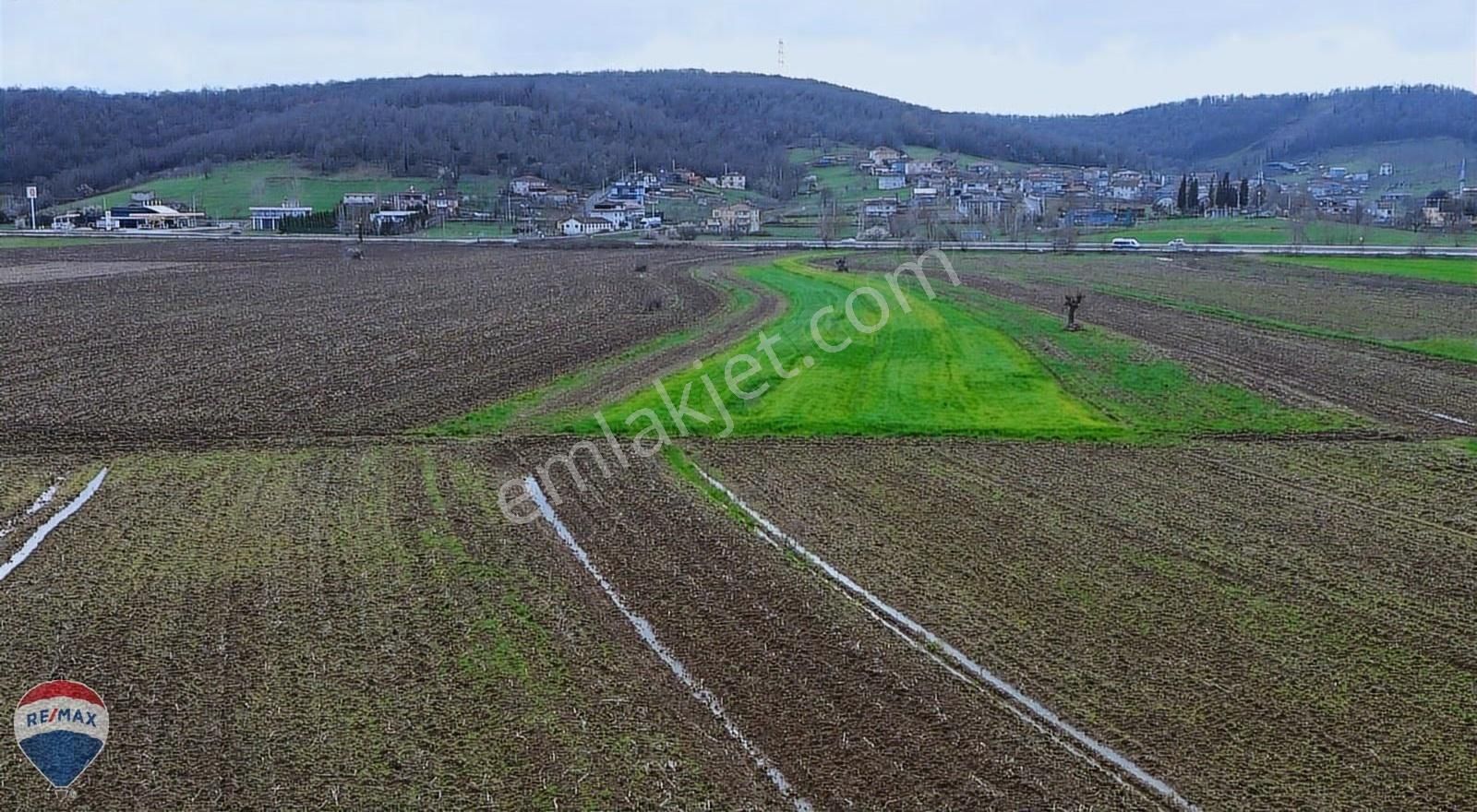 Remax Rıdvan Gedikten Söğütlü Kurudilde Satılık 2.180 M2 Tarla - Görsel 23