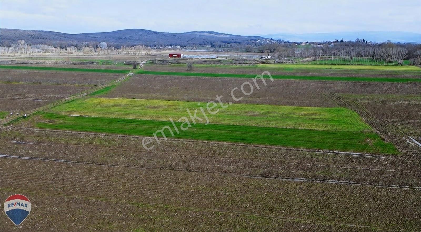 Remax Rıdvan Gedikten Söğütlü Kurudilde Satılık 2.180 M2 Tarla - Görsel 11