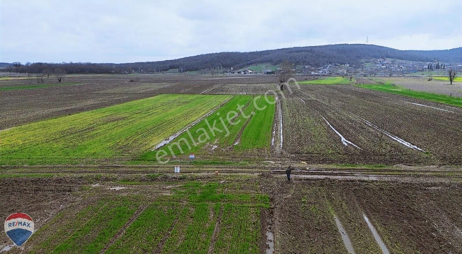 Remax Rıdvan Gedikten Söğütlü Kurudilde Satılık 2.180 M2 Tarla - Görsel 20