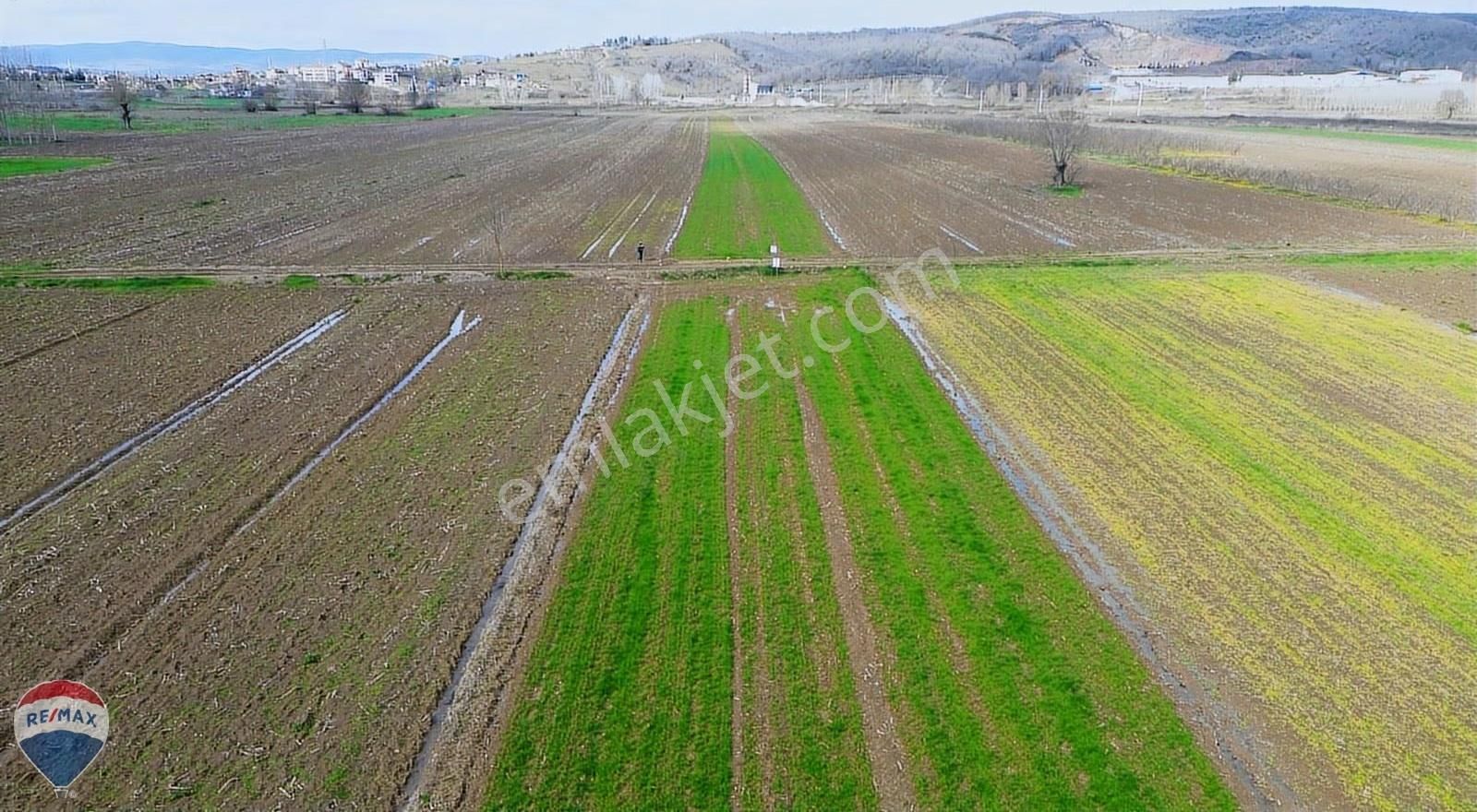 Remax Rıdvan Gedikten Söğütlü Kurudilde Satılık 2.180 M2 Tarla - Görsel 22