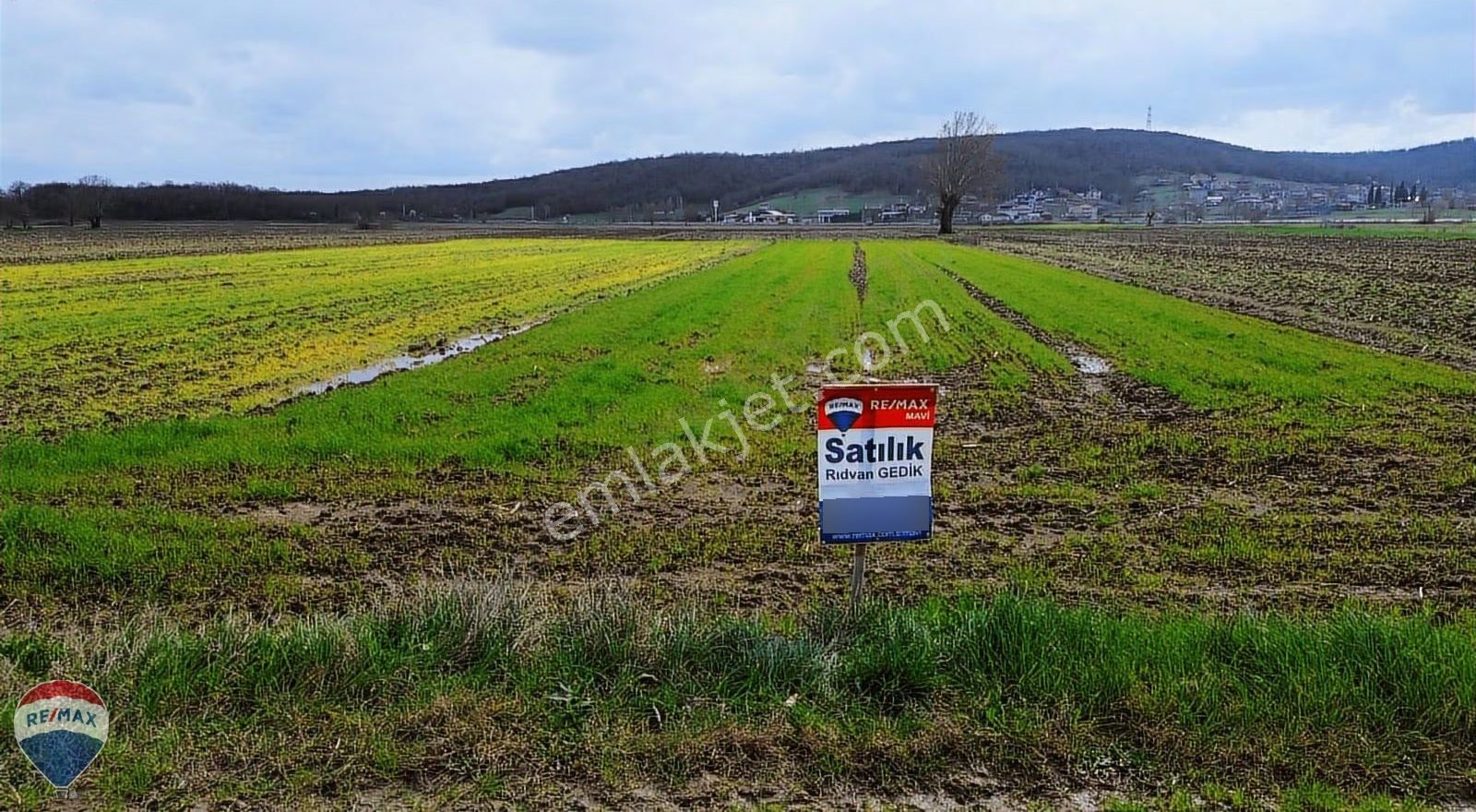 Remax Rıdvan Gedikten Söğütlü Kurudilde Satılık 2.180 M2 Tarla - Görsel 3