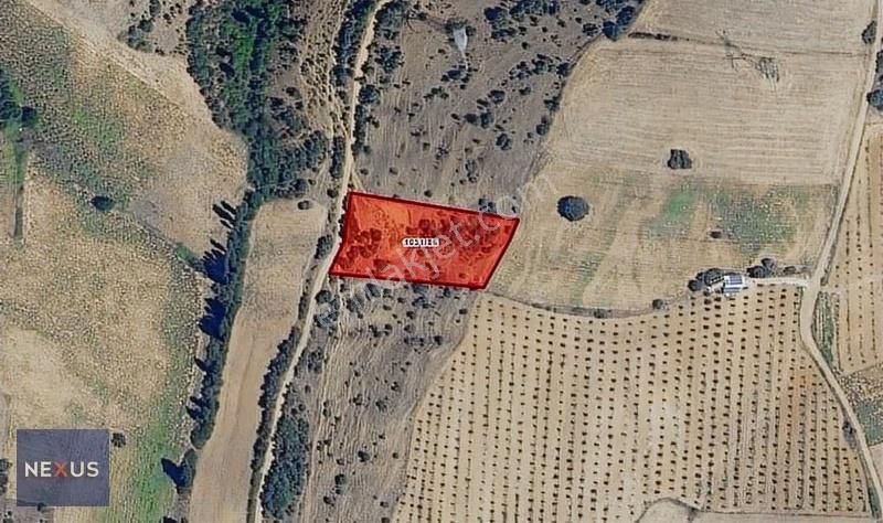Bursa Yenişehir Barçın'da Yola Cepheli Satılık 3.592,87 M² Tarla - Görsel 6