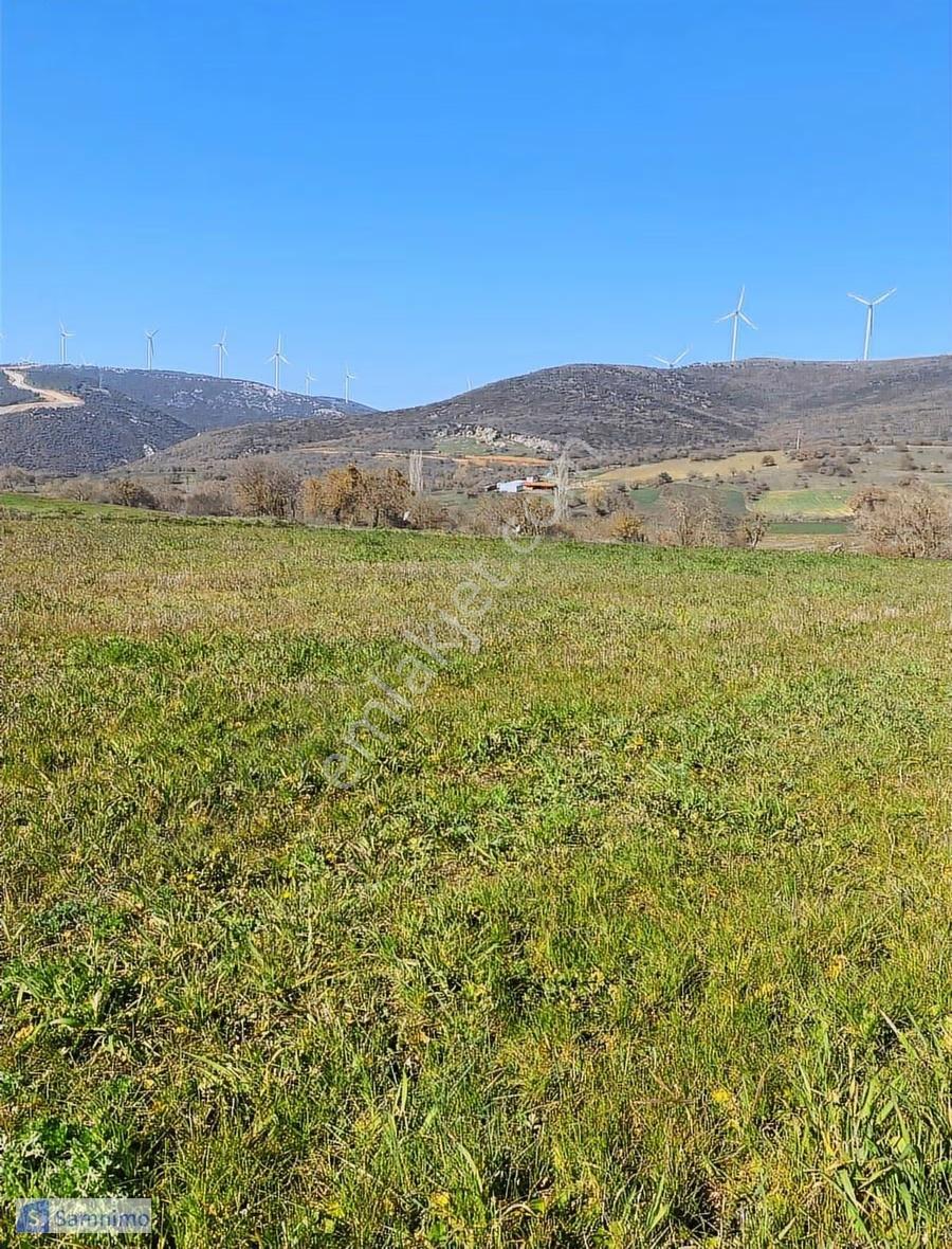 Satılık Fırsat Arazi 150 Mt Kadastrol Yola Cepheli - Görsel 13