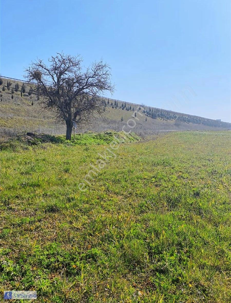 Satılık Fırsat Arazi 150 Mt Kadastrol Yola Cepheli - Görsel 7