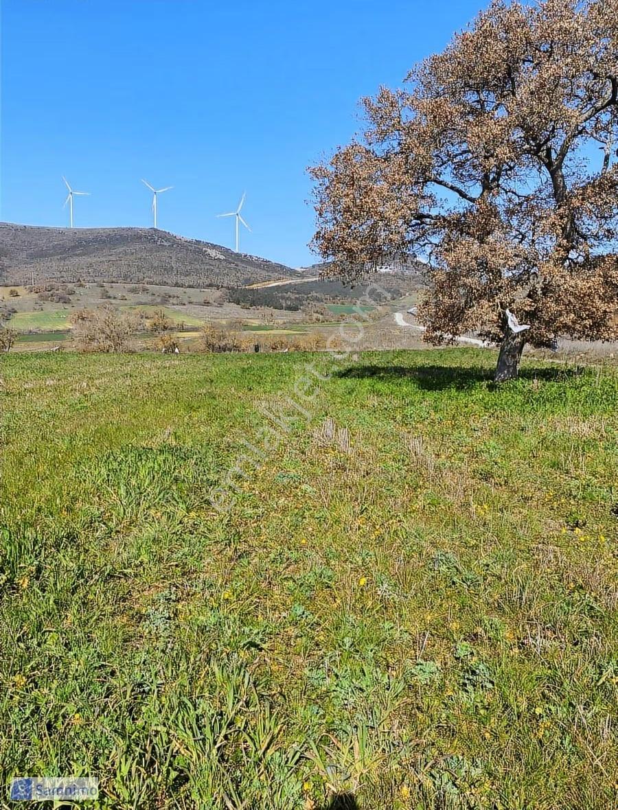 Satılık Fırsat Arazi 150 Mt Kadastrol Yola Cepheli - Görsel 14