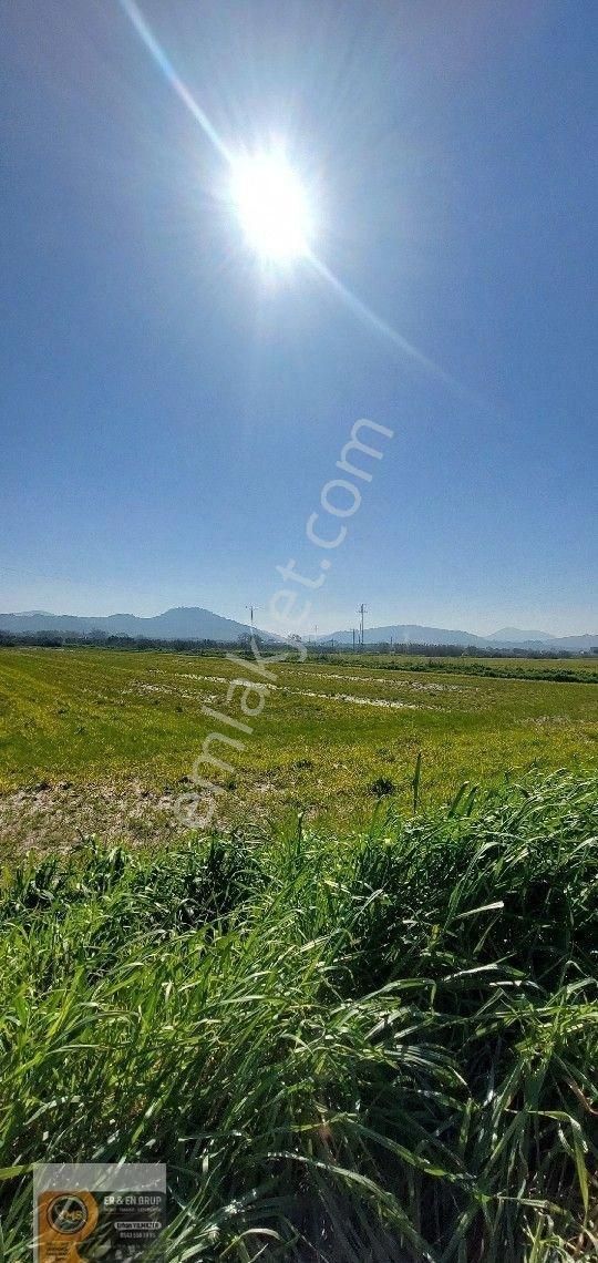 Dikili İsmetpaşa Da Elektrik Suyu Bulunan 7.760metrekare Yatırımlık Tarla - Görsel 6