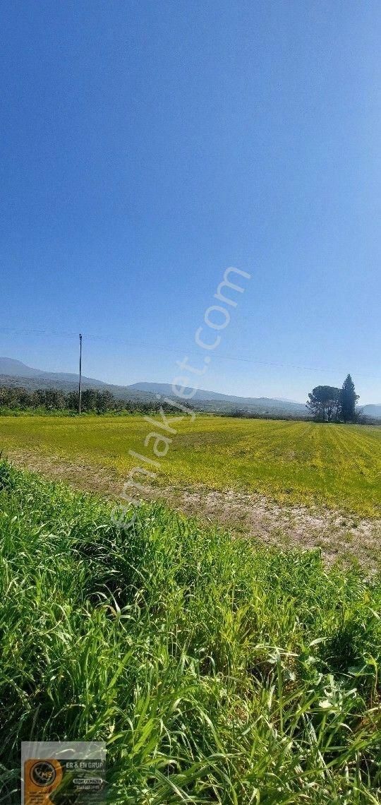 Dikili İsmetpaşa Da Elektrik Suyu Bulunan 7.760metrekare Yatırımlık Tarla - Görsel 4