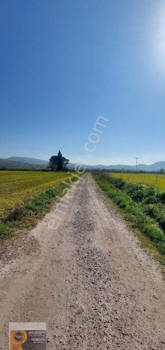 Dikili İsmetpaşa Da Elektrik Suyu Bulunan 7.760metrekare Yatırımlık Tarla - Görsel 8