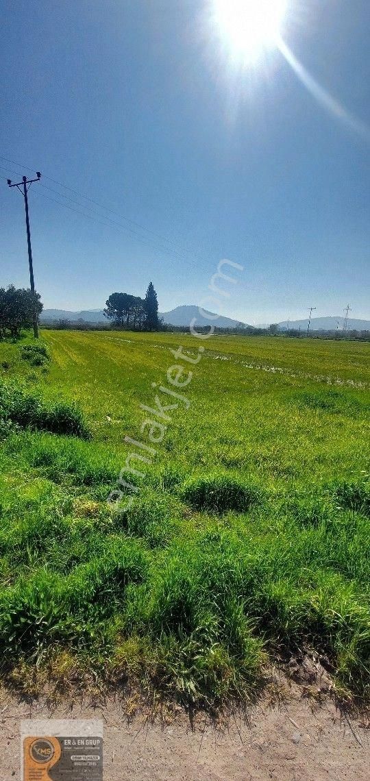 Dikili İsmetpaşa Da Elektrik Suyu Bulunan 7.760metrekare Yatırımlık Tarla