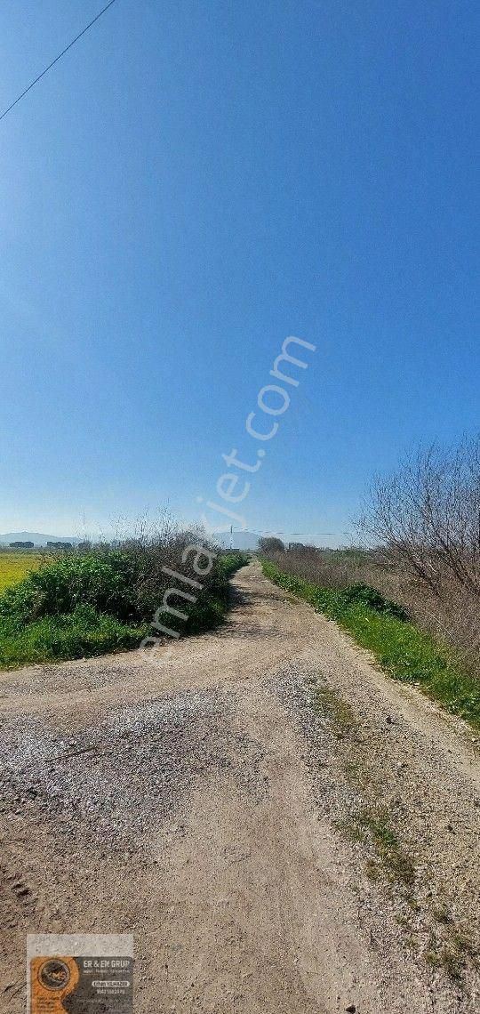 Dikili İsmetpaşa Da Elektrik Suyu Bulunan 7.760metrekare Yatırımlık Tarla - Görsel 13
