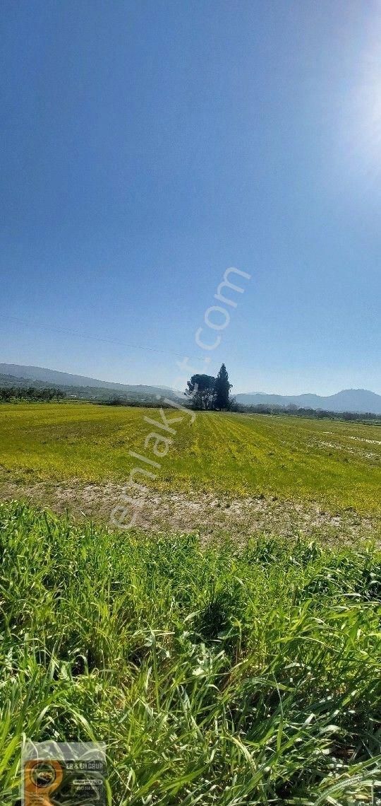 Dikili İsmetpaşa Da Elektrik Suyu Bulunan 7.760metrekare Yatırımlık Tarla - Görsel 5