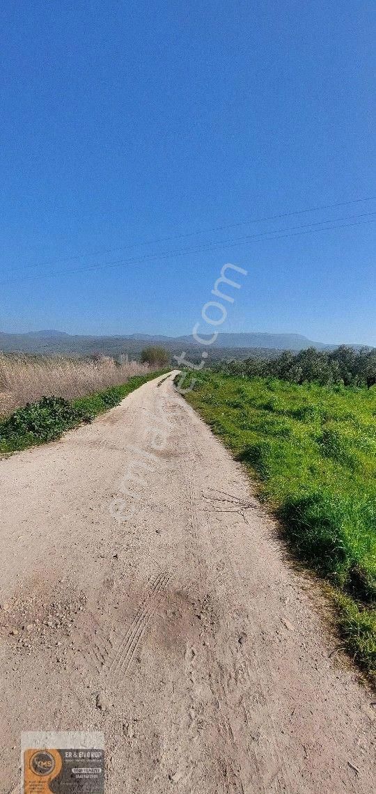 Dikili İsmetpaşa Da Elektrik Suyu Bulunan 7.760metrekare Yatırımlık Tarla - Görsel 2