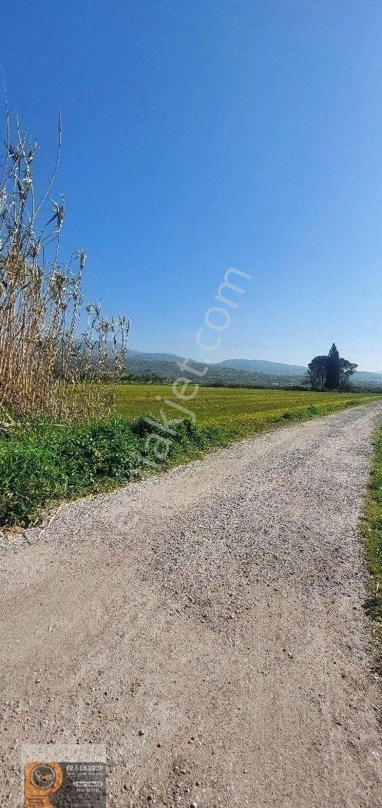 Dikili İsmetpaşa Da Elektrik Suyu Bulunan 7.760metrekare Yatırımlık Tarla - Görsel 9