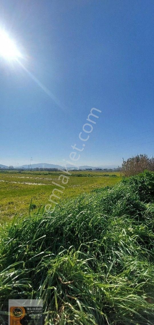 Dikili İsmetpaşa Da Elektrik Suyu Bulunan 7.760metrekare Yatırımlık Tarla - Görsel 7