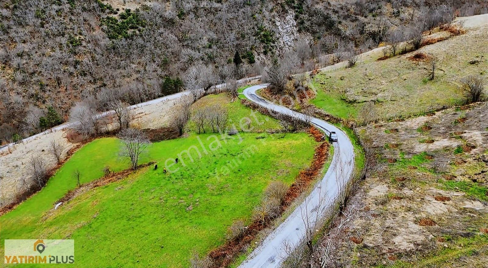 Yatırım Plus'tan Satılık Alaçam'da Fırsat İki Kat İmarlı Arazi - Görsel 21