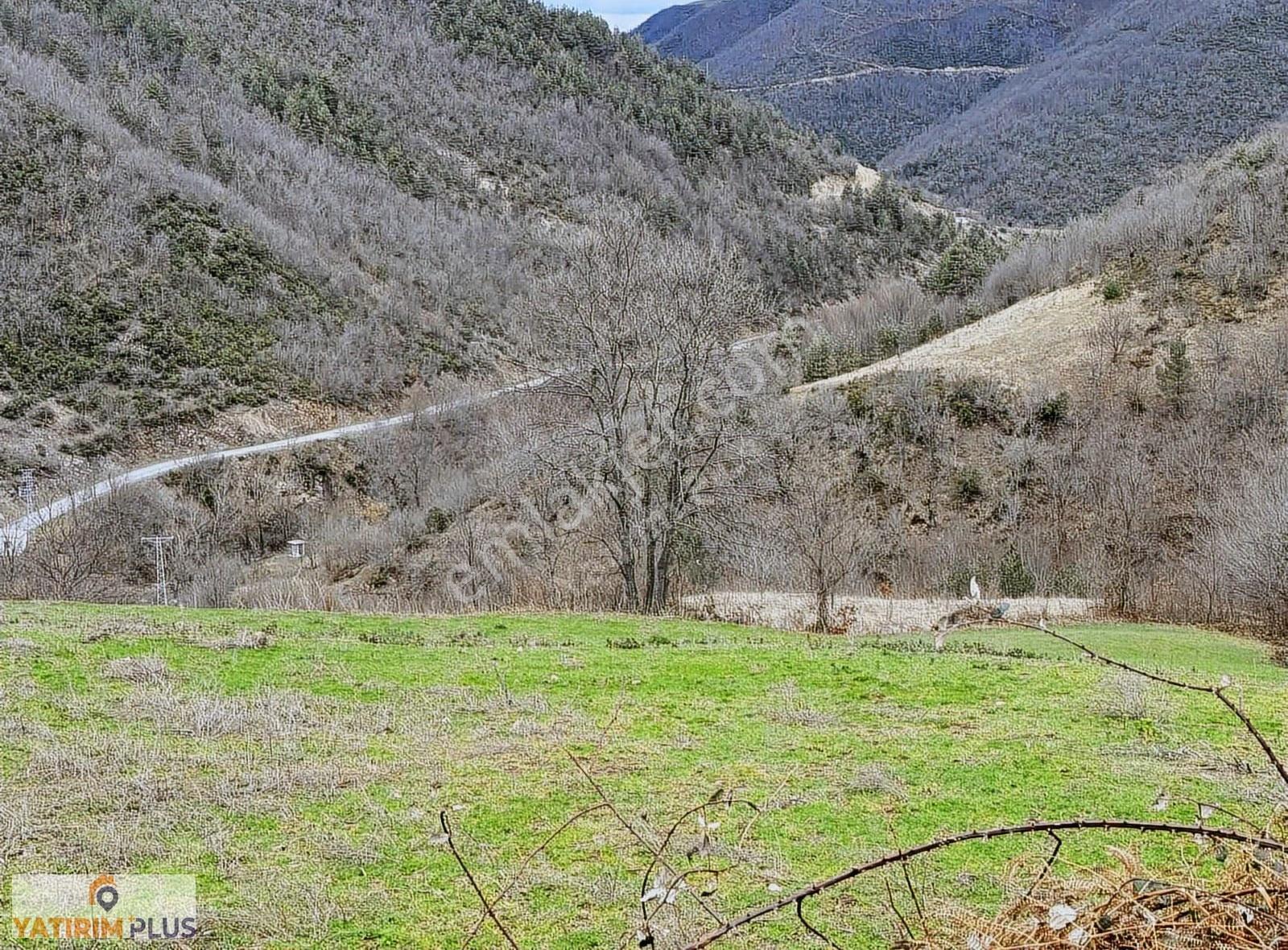Yatırım Plus'tan Alaçamda İki Kat İmarlı Ev Yapılabilir Arazi - Görsel 3