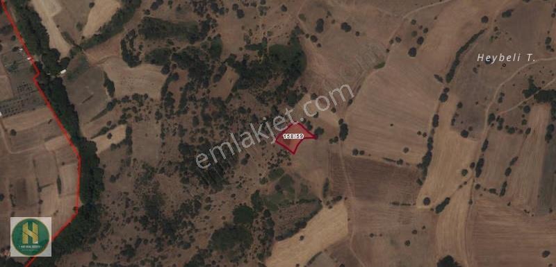Has Real Estate Gayrimenkul Den İbirler De Satılık Tarla - Görsel 2