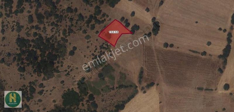 Has Real Estate Gayrimenkul Den İbirler De Satılık Tarla