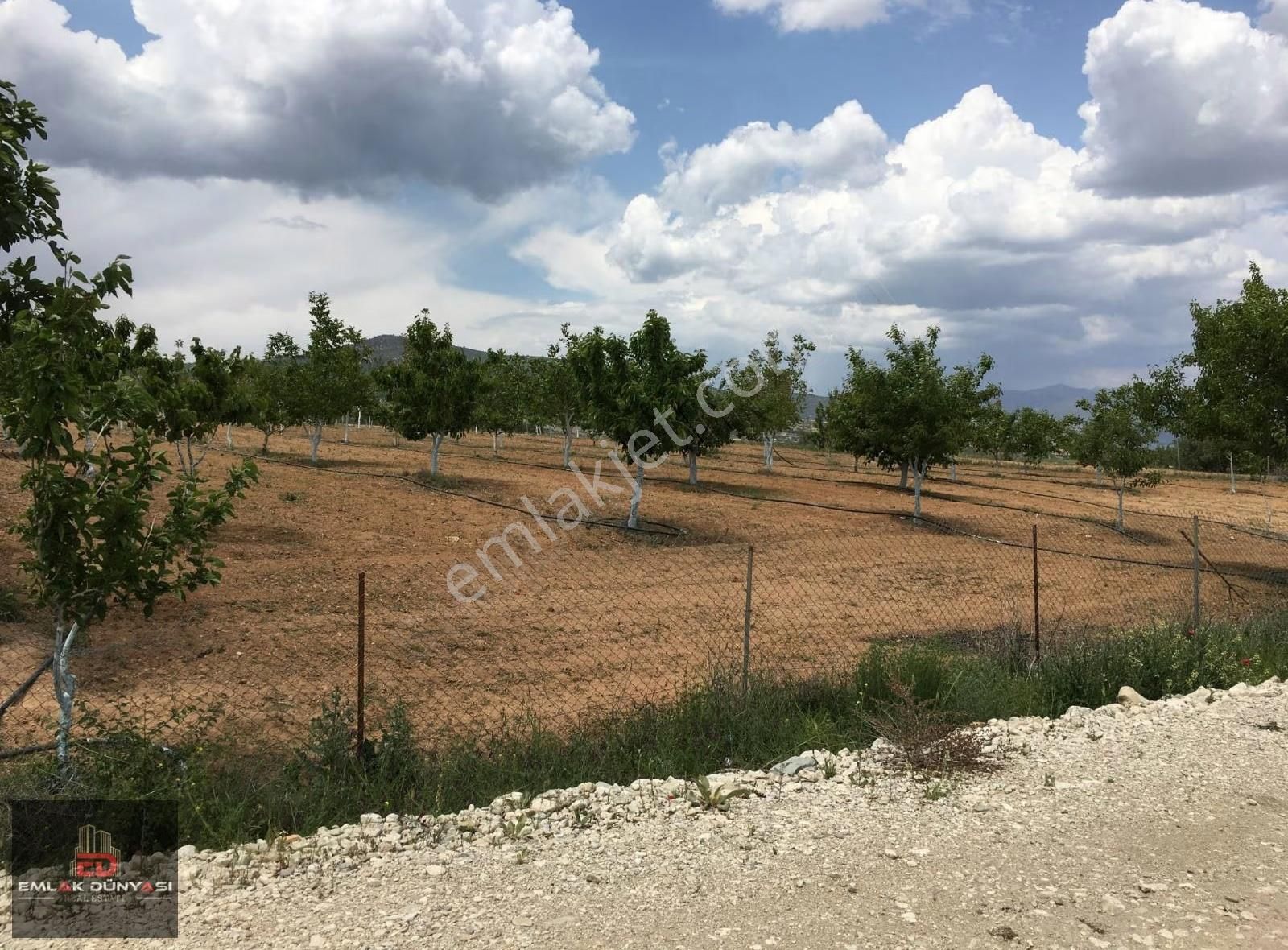 Antalya Korkuteli Yeşilyayla Da Satılık Tarla&üzüm Bağı - Görsel 9