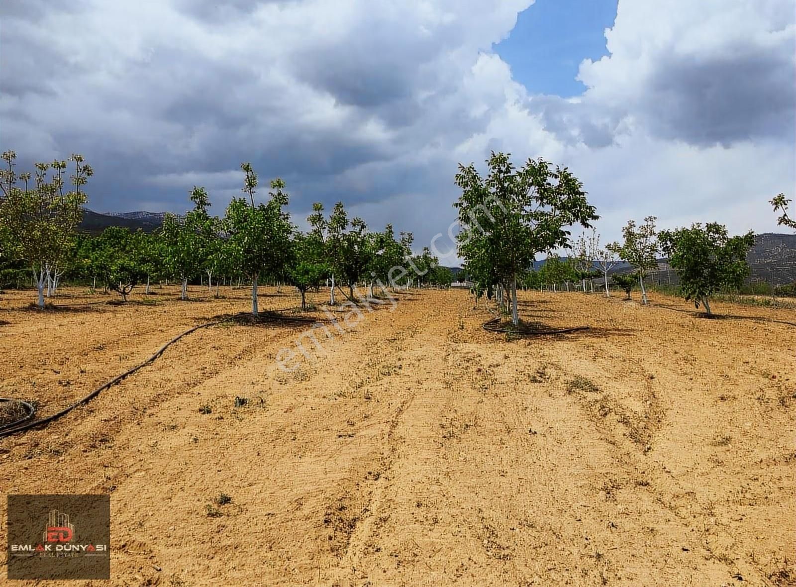 Antalya Korkuteli Yeşilyayla Da Satılık Tarla&üzüm Bağı - Görsel 5