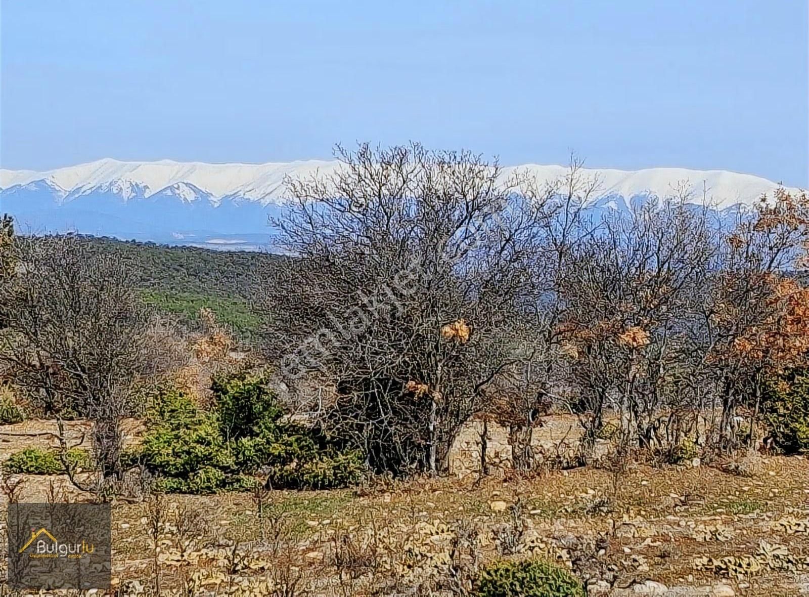 Uludağ Ve Doğa Manzaralı Muhteşem Arazi. - Görsel 4