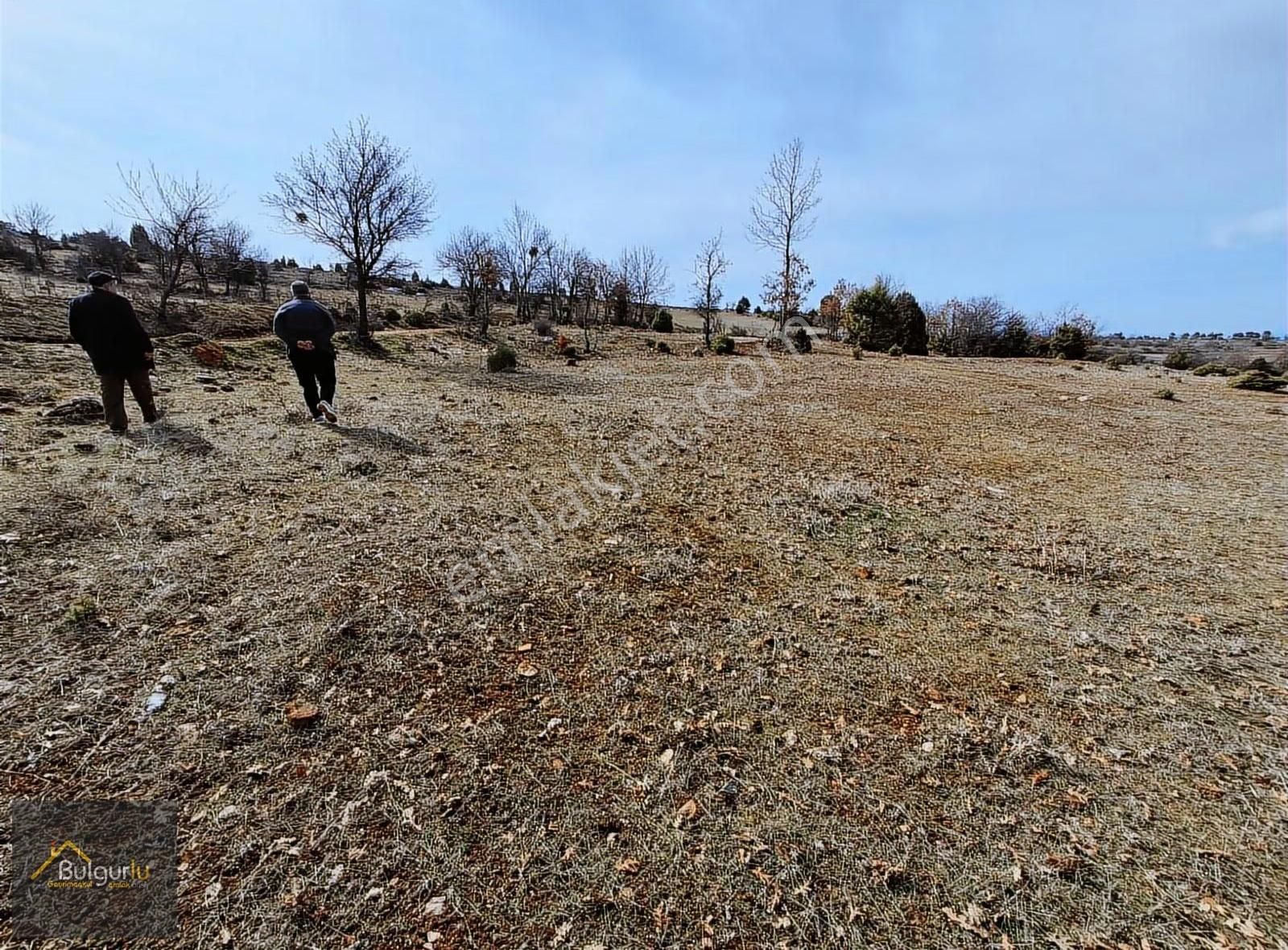 Uludağ Ve Doğa Manzaralı Muhteşem Arazi. - Görsel 14