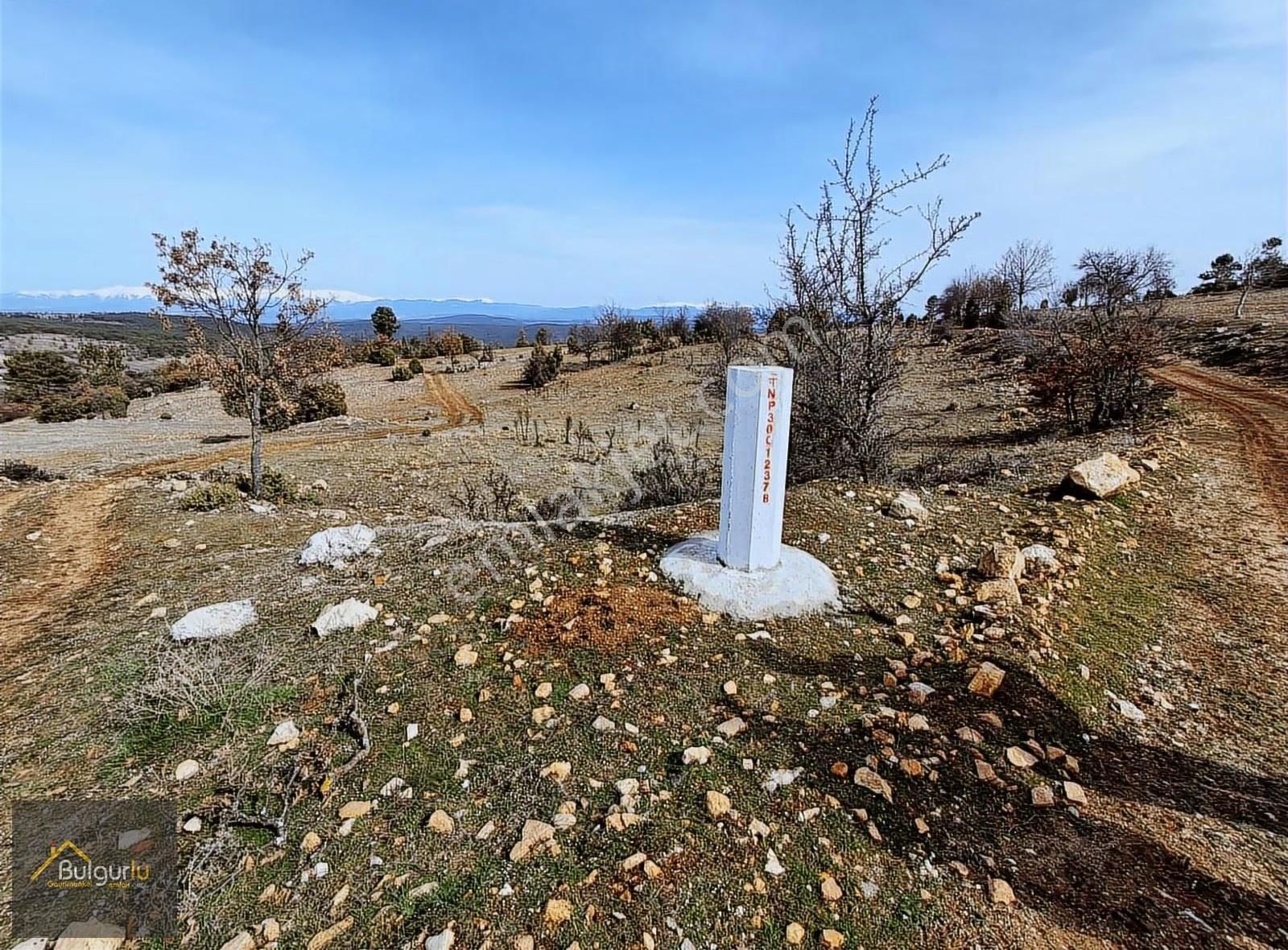Uludağ Ve Doğa Manzaralı Muhteşem Arazi. - Görsel 23