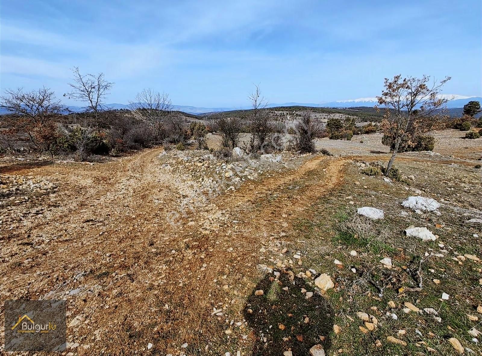 Uludağ Ve Doğa Manzaralı Muhteşem Arazi. - Görsel 13