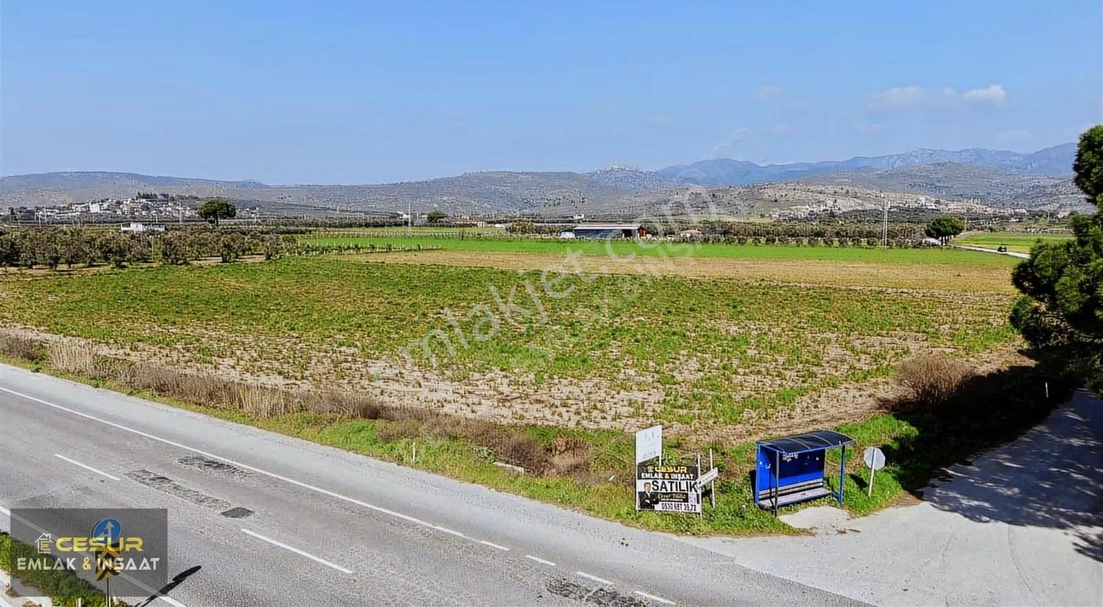 Dikili Kabakum'da Çanakkale Yoluna Cepheli Satılık Tarla - Görsel 12