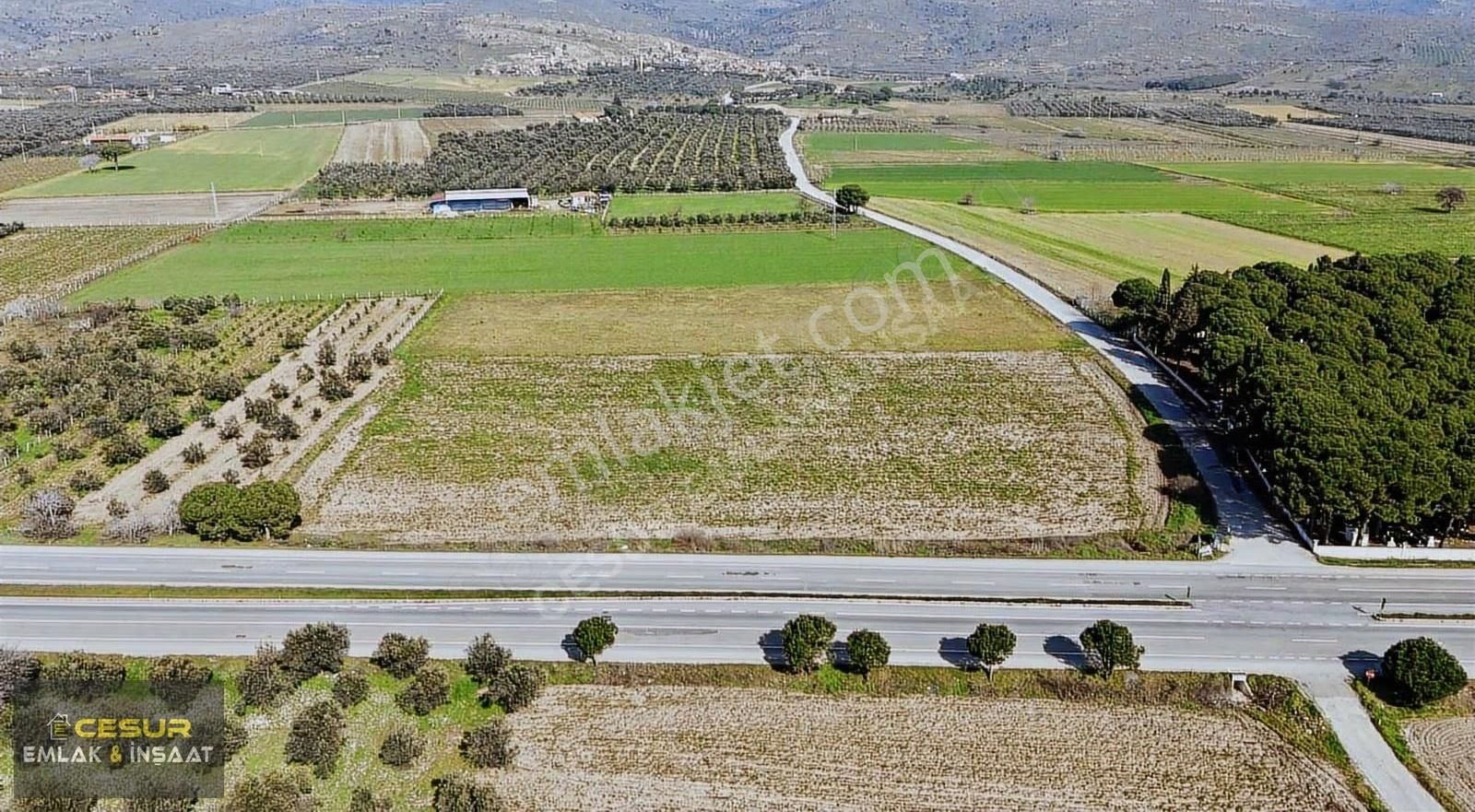 Dikili Kabakum'da Çanakkale Yoluna Cepheli Satılık Tarla - Görsel 2