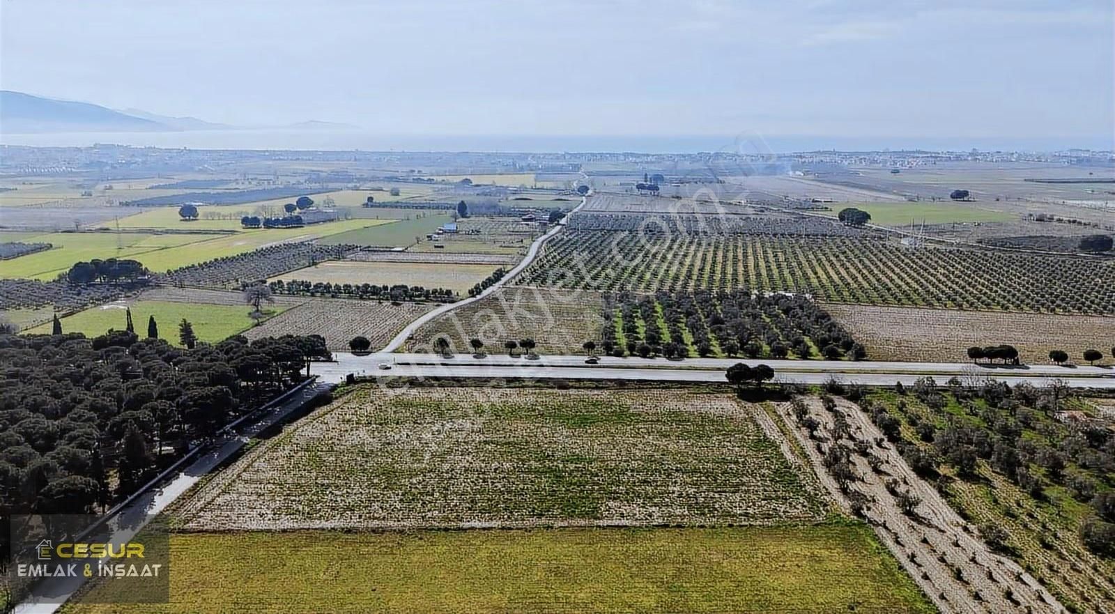Dikili Kabakum'da Çanakkale Yoluna Cepheli Satılık Tarla - Görsel 13