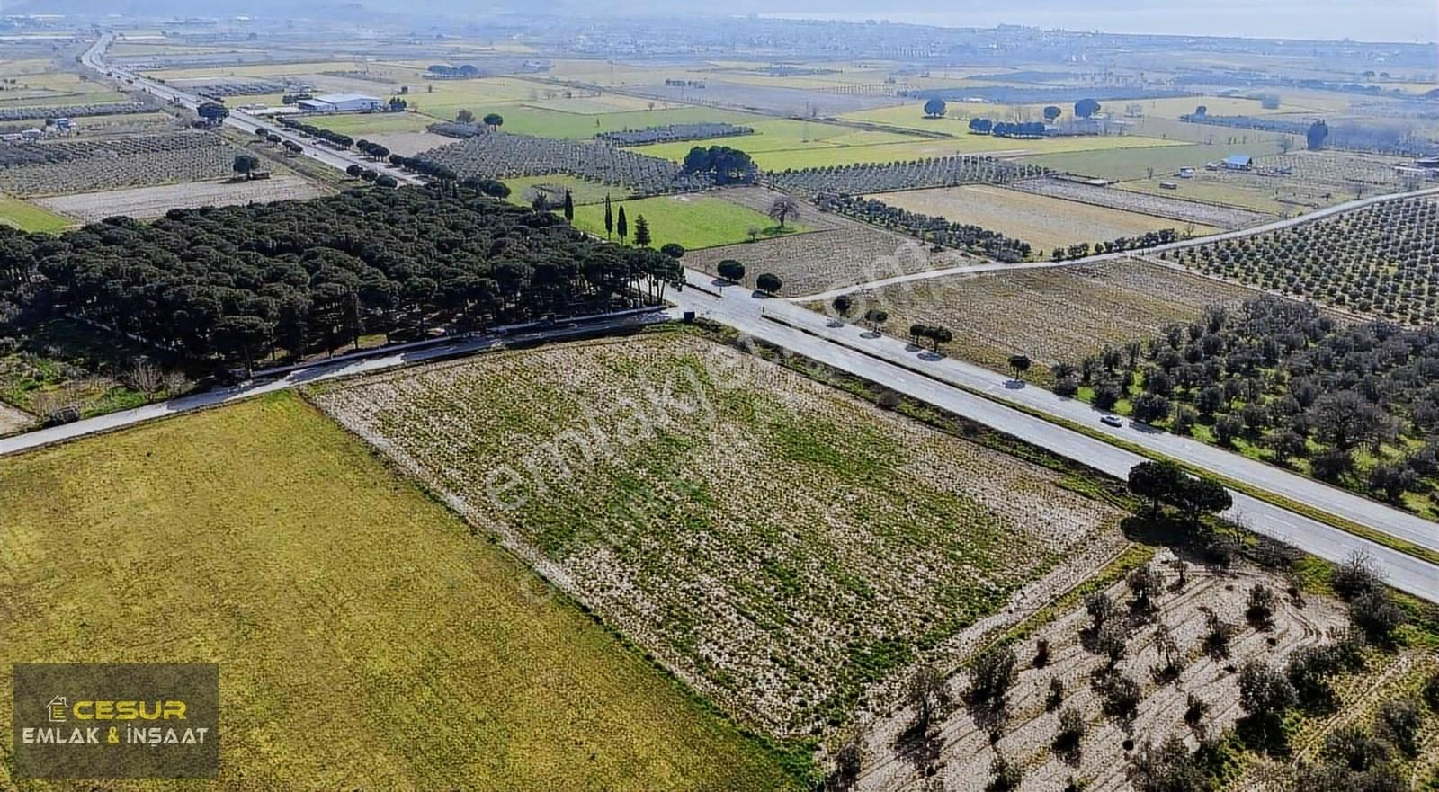 Dikili Kabakum'da Çanakkale Yoluna Cepheli Satılık Tarla