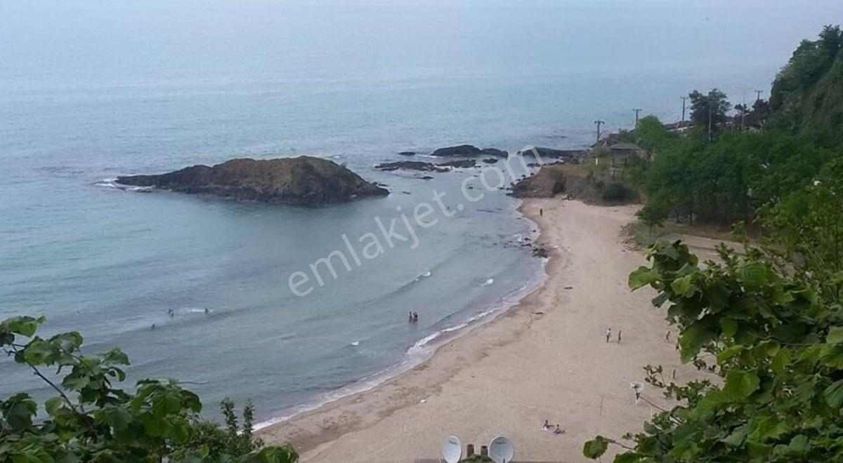 Giresun Tirebolu'da Eşsiz Konumda Satılık Otel - Görsel 12
