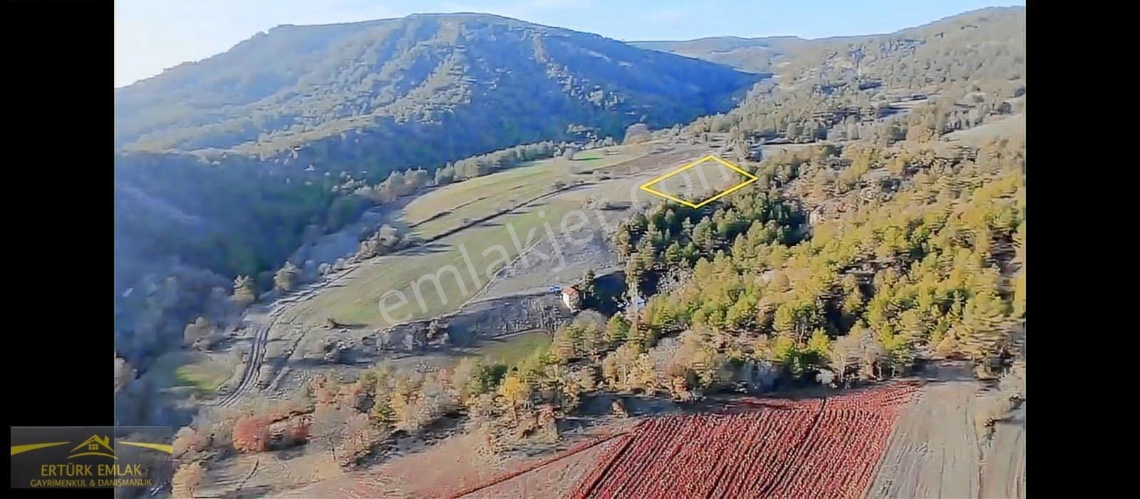 Bilecik Gölpazarı Dereli Köyü Ana Yola Yakın Tarla - Görsel 5