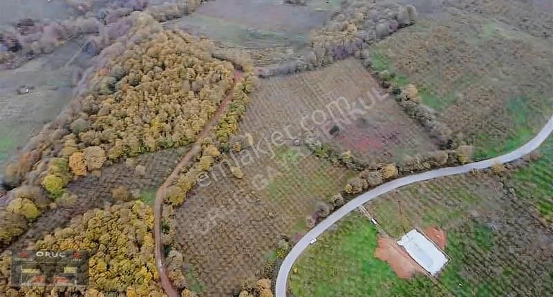 Süleymaniye'de 24 Dönüm Bakımlı Fındıklık - Yatırımlık Fırsat! - Görsel 7