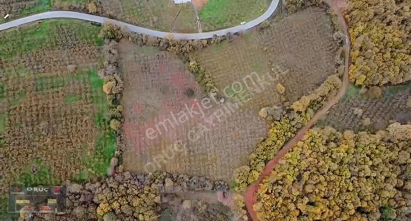 Süleymaniye'de 24 Dönüm Bakımlı Fındıklık - Yatırımlık Fırsat! - Görsel 14