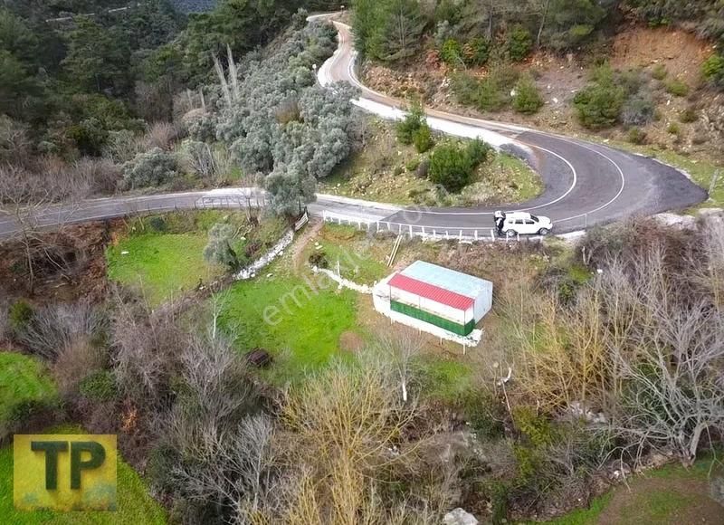 İzmir Bayındır Sarıyurt Köyünde Asfalt Kenarı Satılık Bahçe