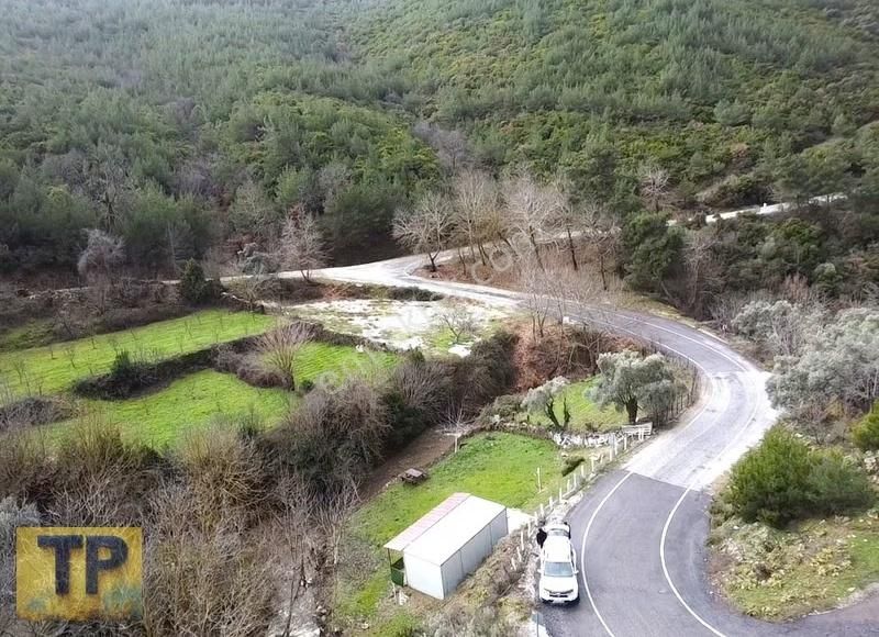 İzmir Bayındır Sarıyurt Köyünde Asfalt Kenarı Satılık Bahçe - Görsel 5